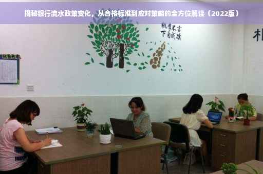 揭秘银行流水政策变化，从合格标准到应对策略的全方位解读（2022版）
