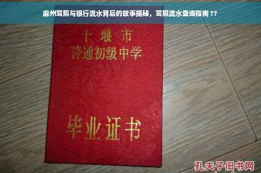 麻州驾照与银行流水背后的故事揭秘，驾照流水查询指南 ??