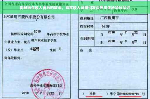 揭秘医生收入背后的故事，真实收入证明引发深思与违法争议探讨