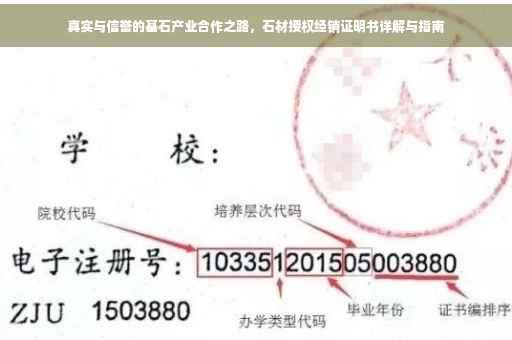 真实与信誉的基石产业合作之路，石材授权经销证明书详解与指南