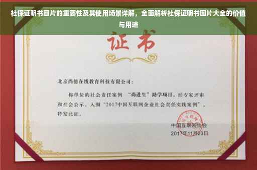 社保证明书图片的重要性及其使用场景详解，全面解析社保证明书图片大全的价值与用途