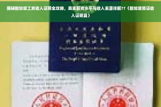揭秘新加坡工资收入证明全攻略，真实薪资水平与收入来源详解??（新加坡签证收入证明篇）
