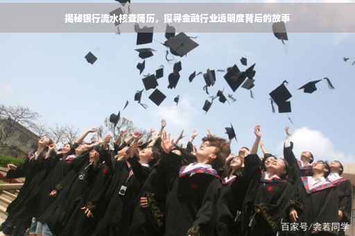 揭秘银行流水核查简历，探寻金融行业透明度背后的故事