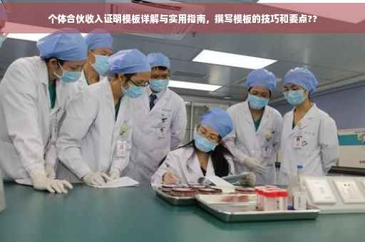 个体合伙收入证明模板详解与实用指南，撰写模板的技巧和要点??