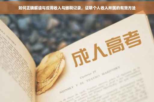 如何正确解读与应用收入与缴税记录，证明个人收入所属的有效方法
