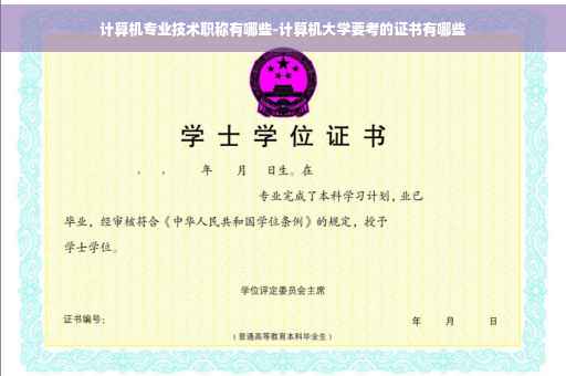 计算机专业技术职称有哪些-计算机大学要考的证书有哪些