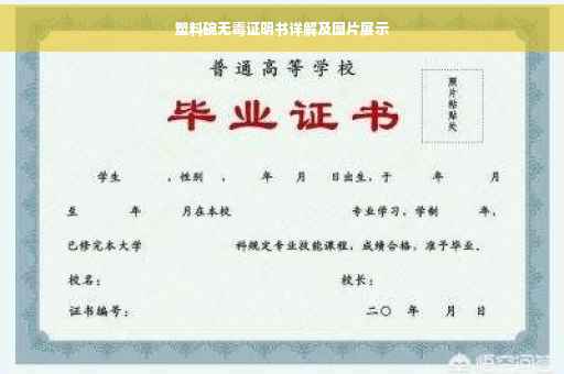 塑料碗无毒证明书详解及图片展示