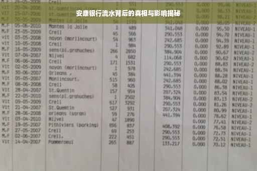 安康银行流水背后的真相与影响揭秘