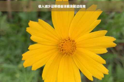 收入减少证明模板详解及解读指南
