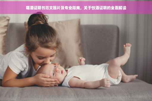 喝酒证明书范文图片及专业指南，关于饮酒证明的全面解读