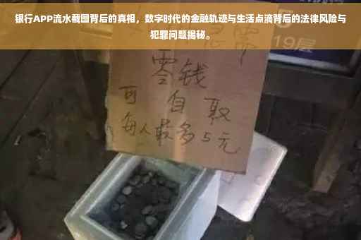 银行APP流水截图背后的真相，数字时代的金融轨迹与生活点滴背后的法律风险与犯罪问题揭秘。