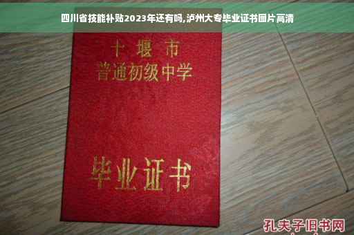 四川省技能补贴2023年还有吗,泸州大专毕业证书图片高清