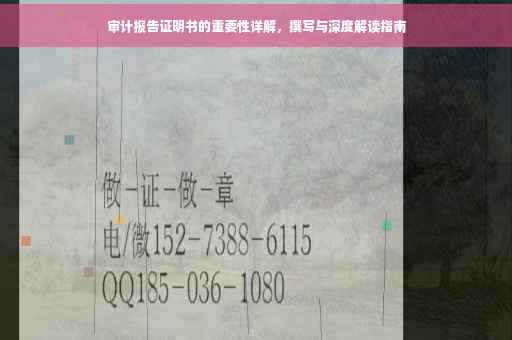 审计报告证明书的重要性详解，撰写与深度解读指南