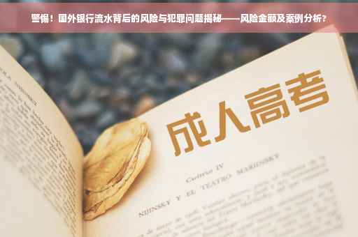 警惕！国外银行流水背后的风险与犯罪问题揭秘——风险金额及案例分析?