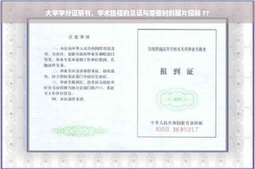 大学学分证明书，学术旅程的见证与荣誉时刻图片回顾 ??