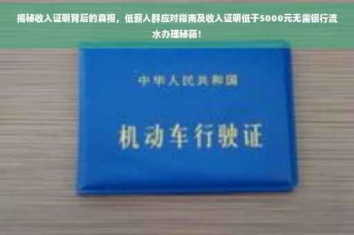 揭秘收入证明背后的真相，低薪人群应对指南及收入证明低于5000元无需银行流水办理秘籍！