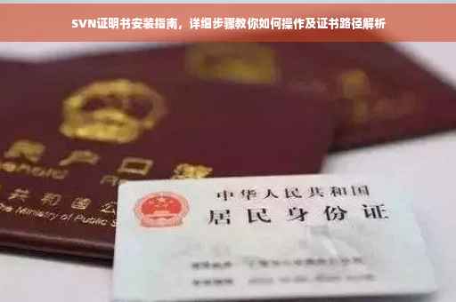 SVN证明书安装指南，详细步骤教你如何操作及证书路径解析