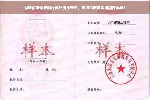 深度解析平安银行漳州流水账单，查询指南与实用操作手册?
