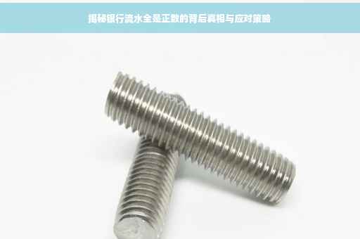 揭秘银行流水全是正数的背后真相与应对策略