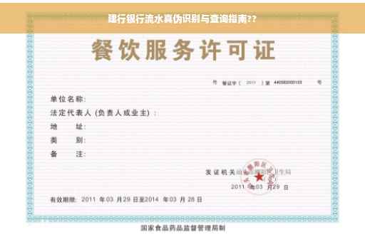 建行银行流水真伪识别与查询指南??