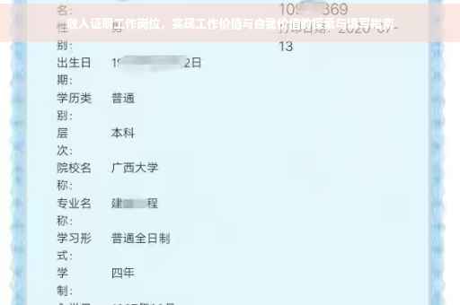 收入证明工作岗位，实现工作价值与自我价值的探索与填写指南