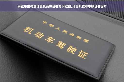 事业单位考试计算机高级证书如何取得,计算机软考中级证书图片