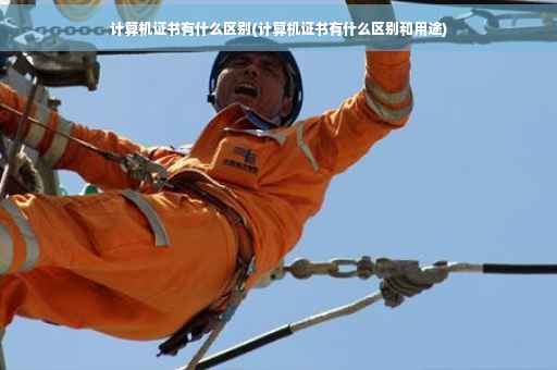 计算机证书有什么区别(计算机证书有什么区别和用途)