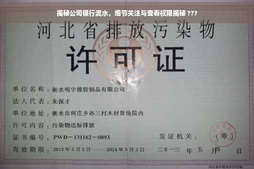 揭秘公司银行流水，细节关注与查看权限揭秘 ???