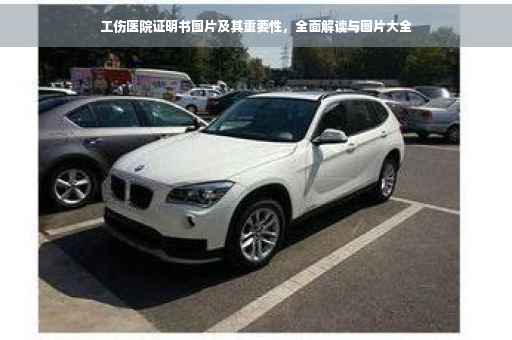 工伤医院证明书图片及其重要性，全面解读与图片大全