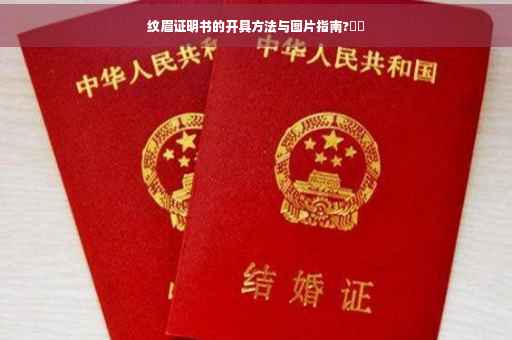 纹眉证明书的开具方法与图片指南?⚡️