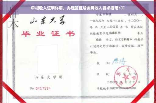 申根收入证明详解，办理签证所需月收入要求指南?⚡️