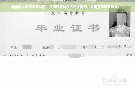 特低收入家庭证明详解，贫困现状与社会责任揭示，如何开具证明指南?⚡️