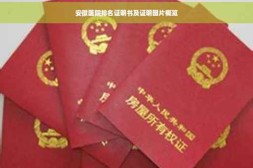 安徽医院排名证明书及证明图片概览