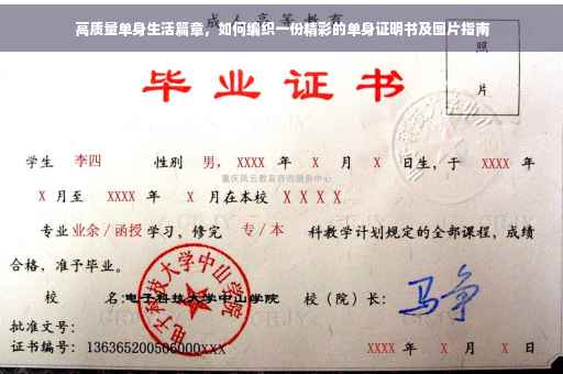 高质量单身生活篇章，如何编织一份精彩的单身证明书及图片指南