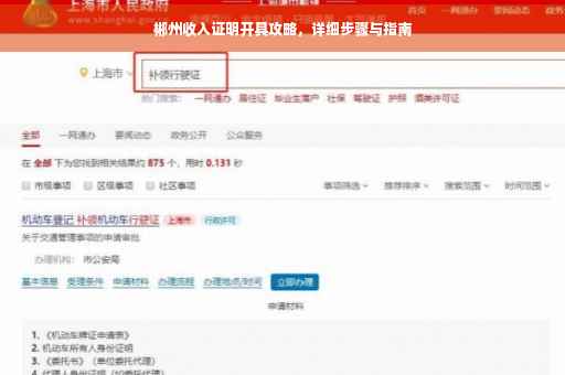 郴州收入证明开具攻略，详细步骤与指南