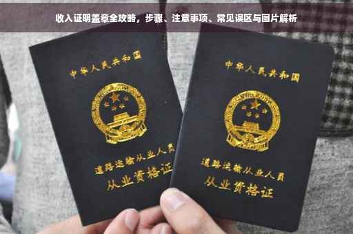 收入证明盖章全攻略，步骤、注意事项、常见误区与图片解析