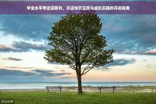 学业水平考试证明书，见证知识深度与成长历程的开启指南