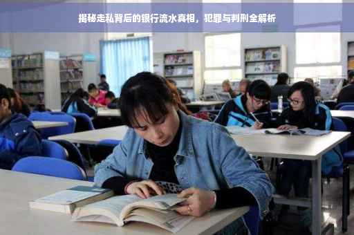 揭秘走私背后的银行流水真相，犯罪与判刑全解析