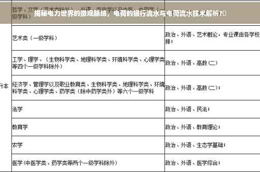 揭秘电力世界的微观脉络，电荷的银行流水与电荷流水技术解析?✨