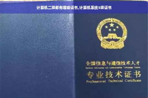 计算机二级都有哪些证书,计算机系统5级证书