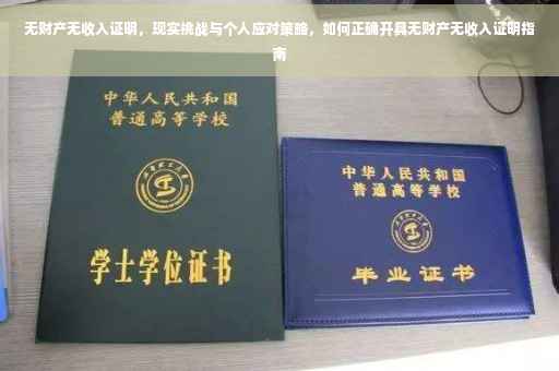 无财产无收入证明，现实挑战与个人应对策略，如何正确开具无财产无收入证明指南