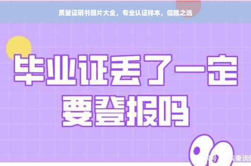 质量证明书图片大全，专业认证样本，信赖之选