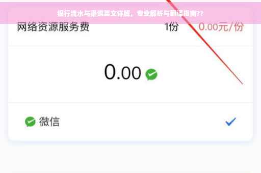 银行流水与渠道英文详解，专业解析与翻译指南??