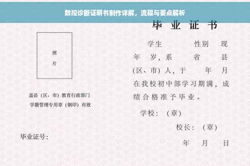 数控诊断证明书制作详解，流程与要点解析