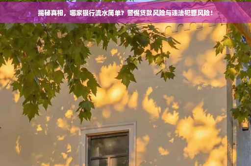 揭秘真相，哪家银行流水简单？警惕贷款风险与违法犯罪风险！