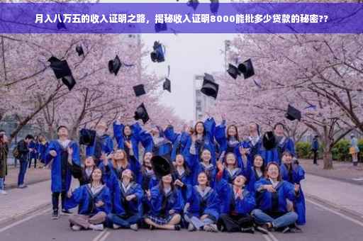 月入八万五的收入证明之路，揭秘收入证明8000能批多少贷款的秘密??