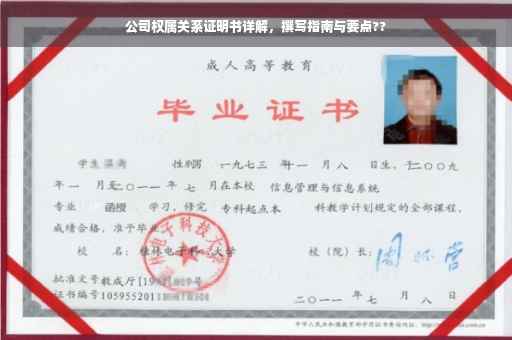 公司权属关系证明书详解，撰写指南与要点??