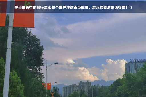 签证申请中的银行流水与个体户注意事项解析，流水核查与申请指南?⚡️