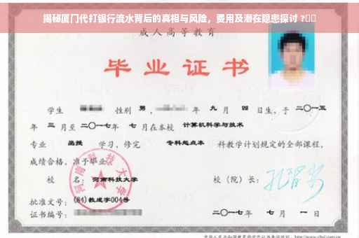 揭秘厦门代打银行流水背后的真相与风险，费用及潜在隐患探讨 ?⚡️