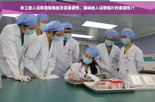 务工收入证明原图模板及其重要性，揭秘收入证明图片的重要性??